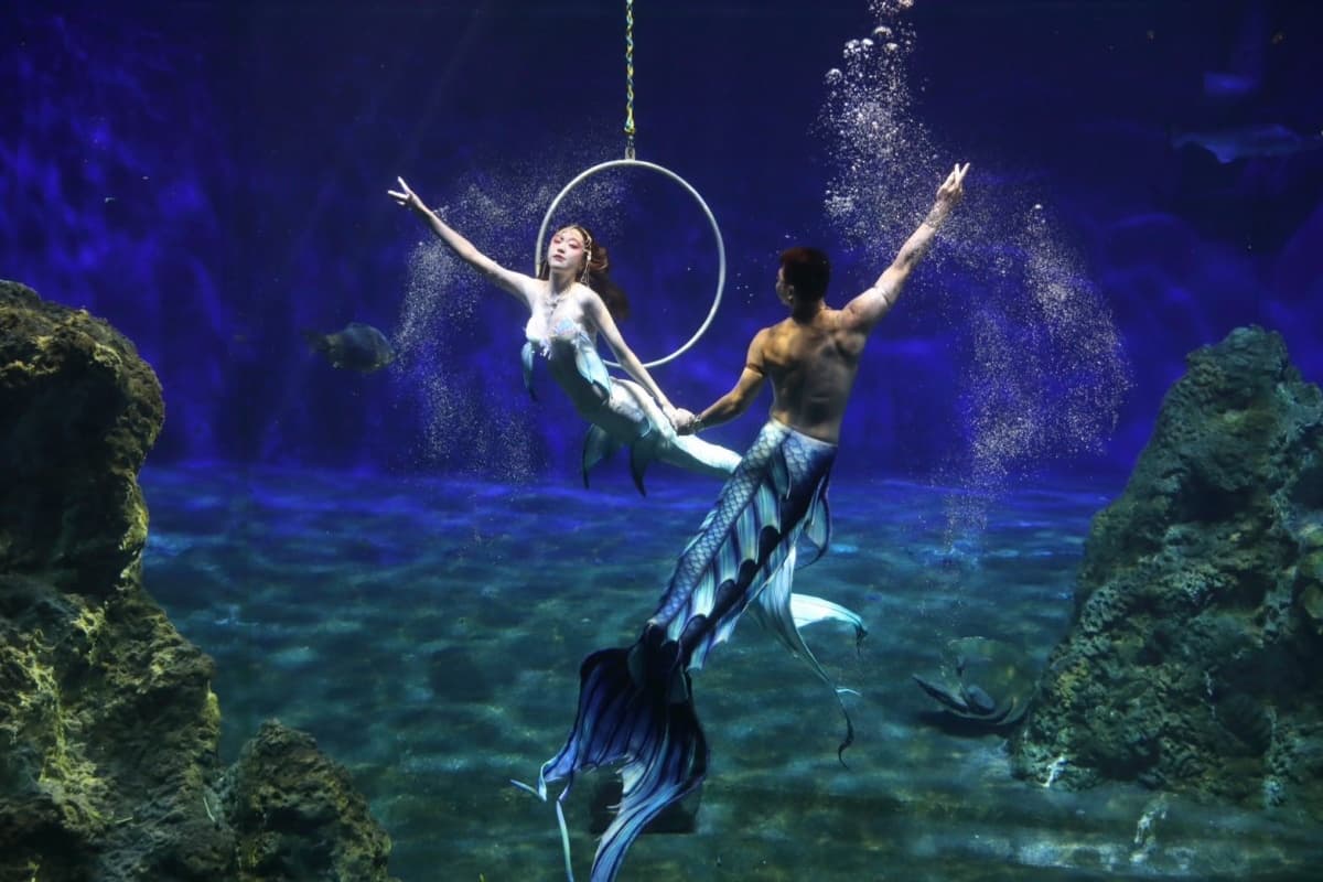 花蓮遠雄海洋公園這樣玩！遊樂設施、海豚表演、夜宿體驗，門票/住宿全攻略