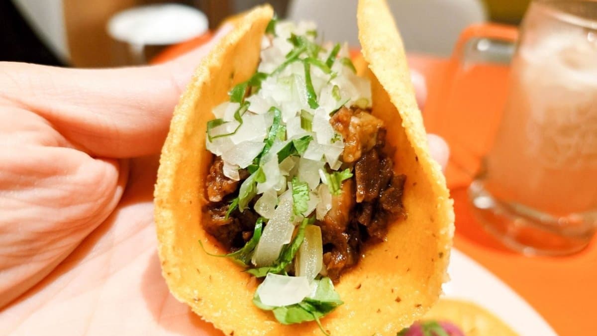 辣醬燉牛頰塔可，燉得入味、香辣酸甜層次豐富。（圖片來源：Jeremy以食為天）