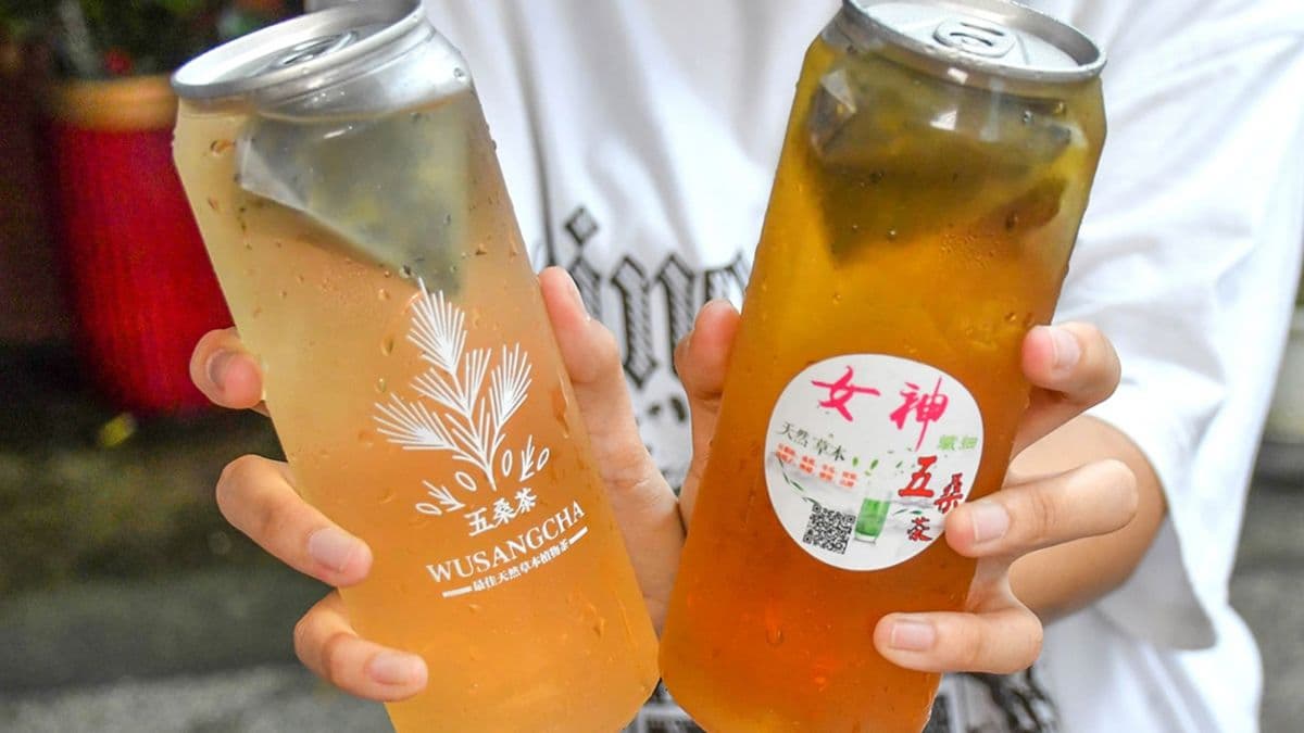 五桑茶選用易開罐的冷泡方式去製作，喝起來回甘解膩配黃金春雞剛好。（圖片來源：呂萱萱愛分享）