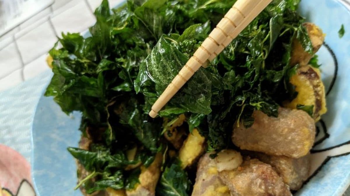 10元的九層塔超多的，就算冷掉了也不會油。（圖片來源：老皮嫩肉的流水帳生活）