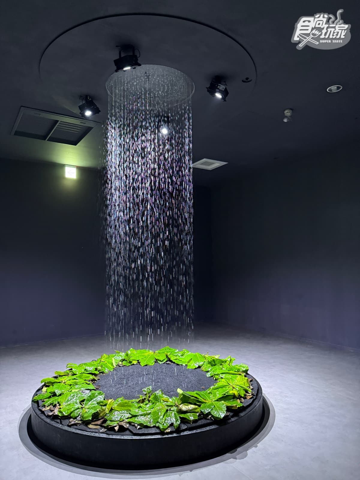 全台最美「台中海洋館」開幕直擊！全館８大展區開箱，票價、參觀資訊一次看