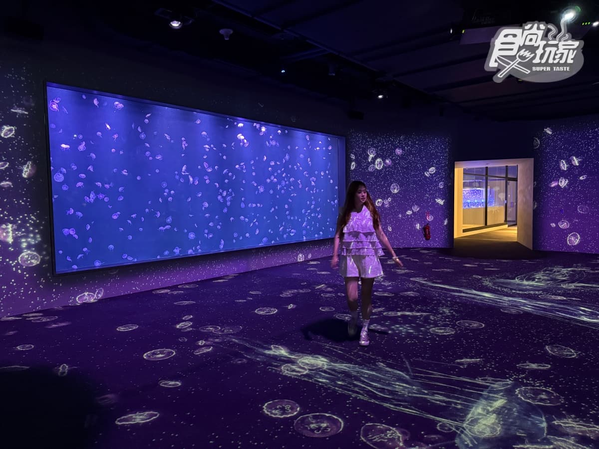 全台最美「台中海洋館」開幕直擊！全館８大展區開箱，票價、參觀資訊一次看