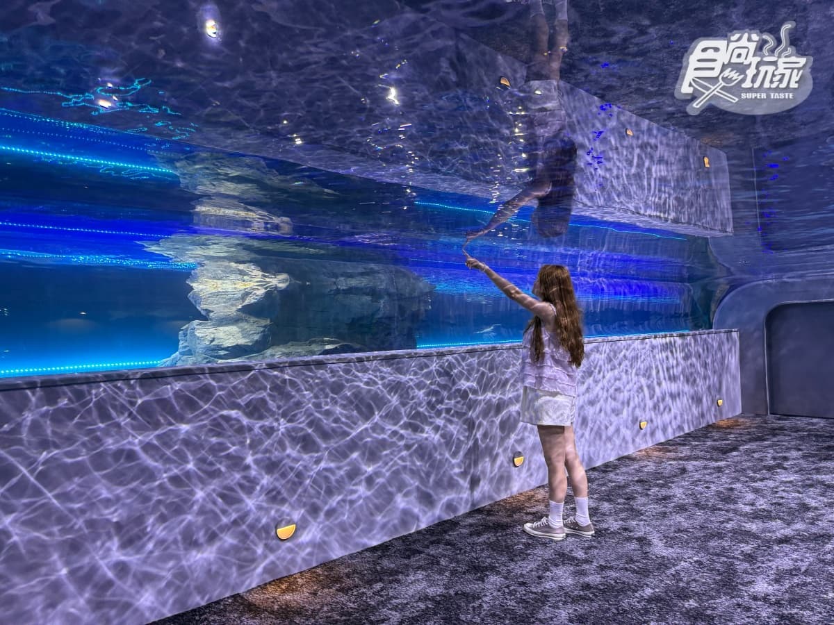 全台最美「台中海洋館」開幕直擊！全館８大展區開箱，票價、參觀資訊一次看