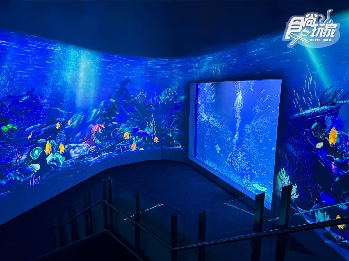 全台最美「台中海洋館」開幕直擊！全館８大展區開箱，票價、參觀資訊一次看