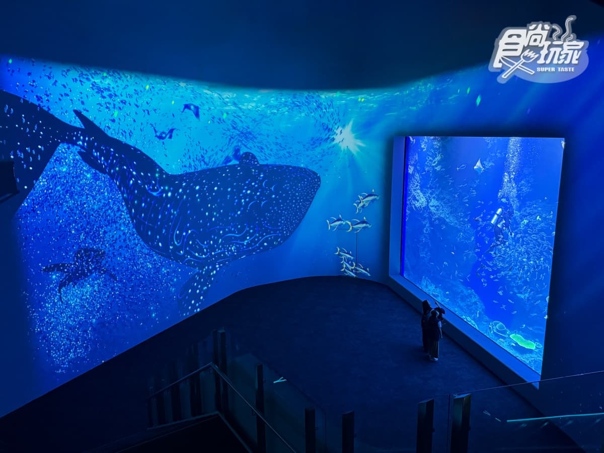 全台最美「台中海洋館」開幕直擊！全館８大展區開箱，票價、參觀資訊一次看