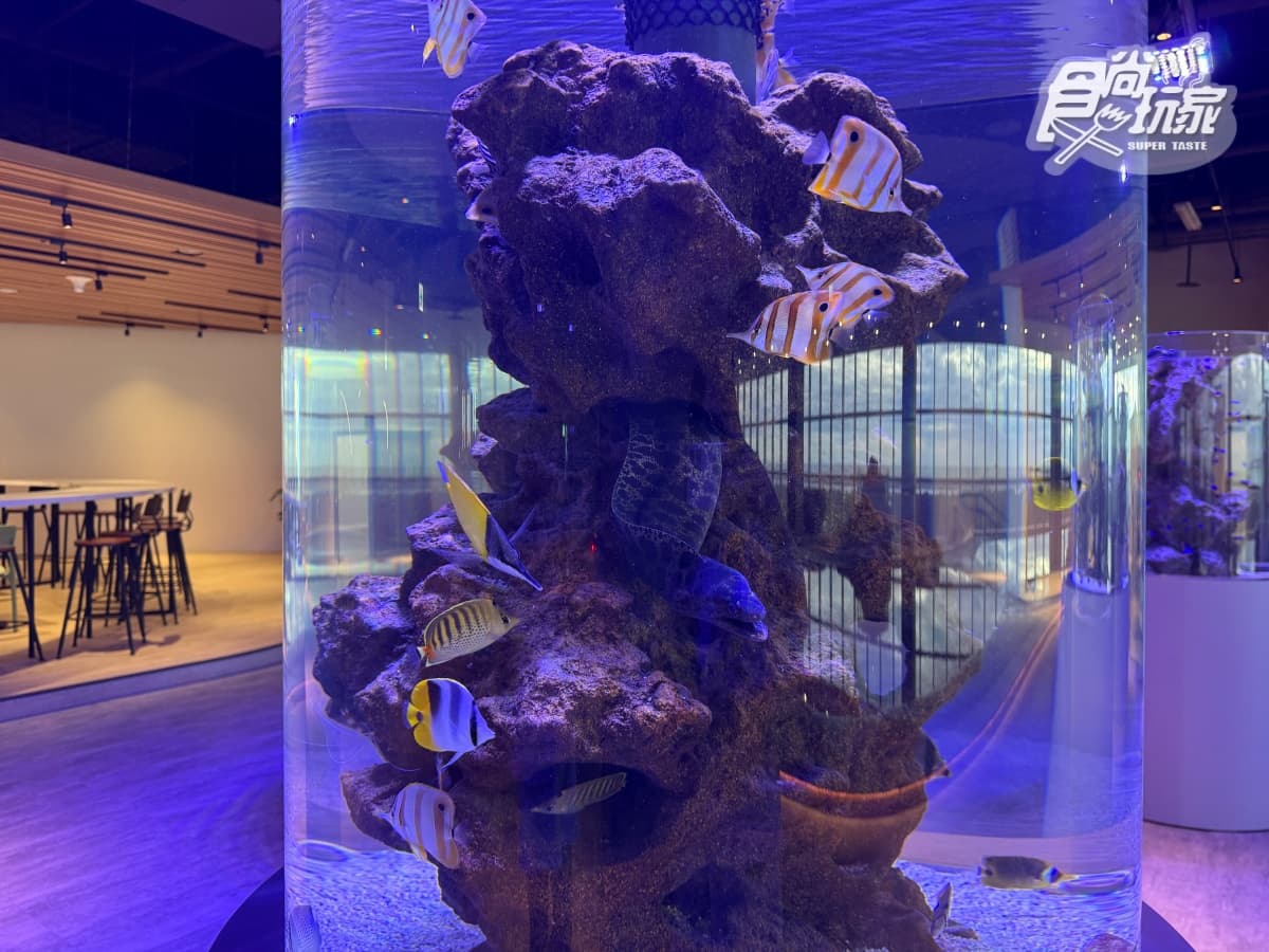 全台最美「台中海洋館」開幕直擊！全館８大展區開箱，票價、參觀資訊一次看