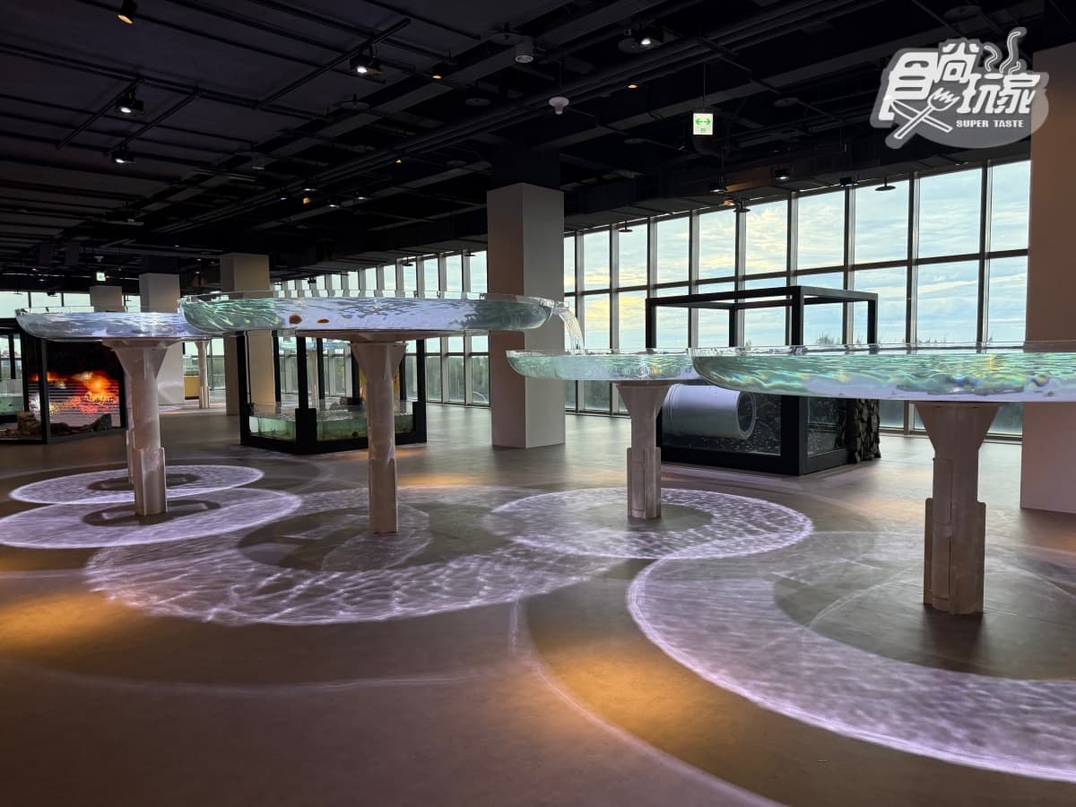 全台最美「台中海洋館」開幕直擊！全館８大展區開箱，票價、參觀資訊一次看