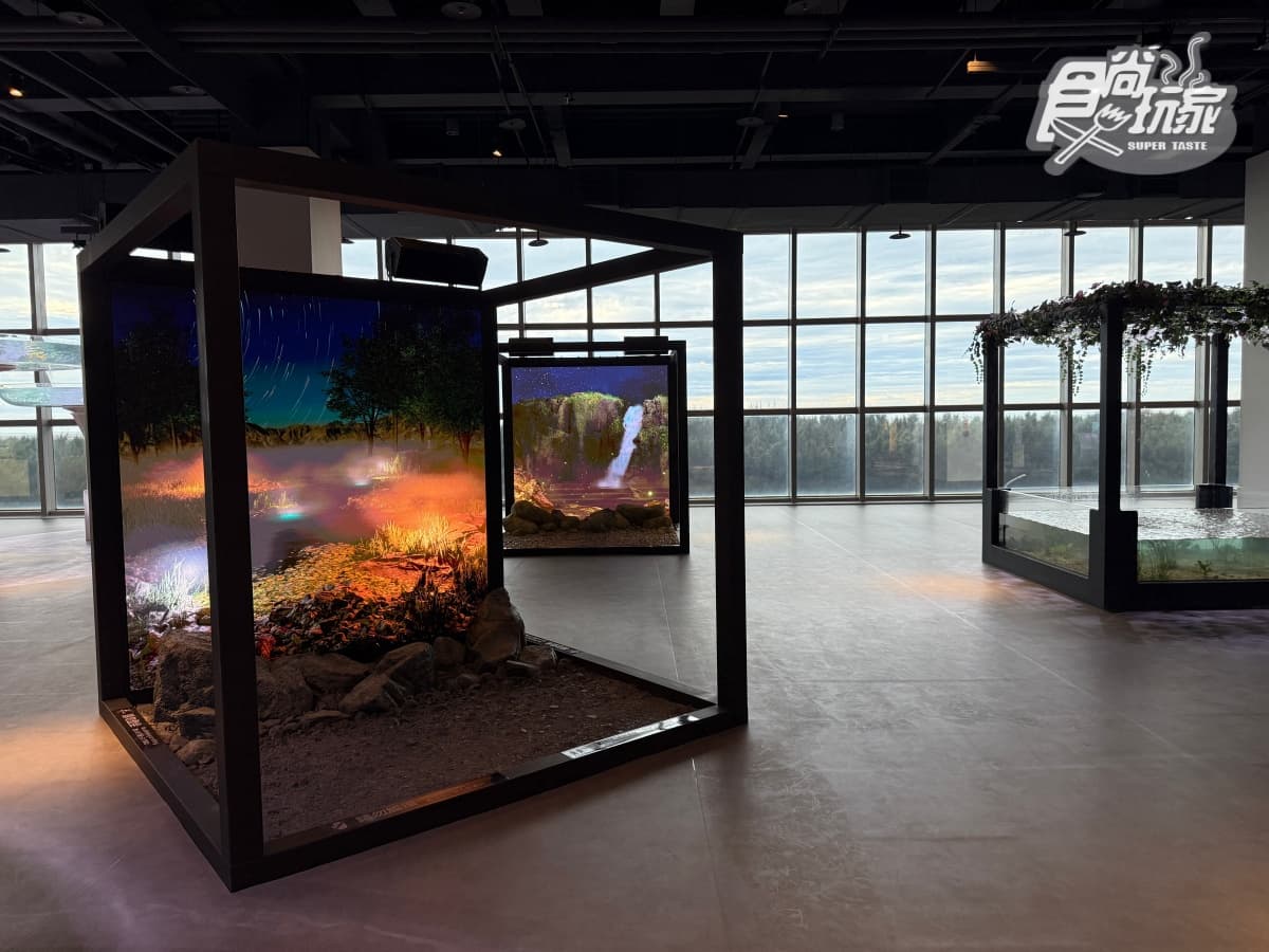 全台最美「台中海洋館」開幕直擊！全館８大展區開箱，票價、參觀資訊一次看