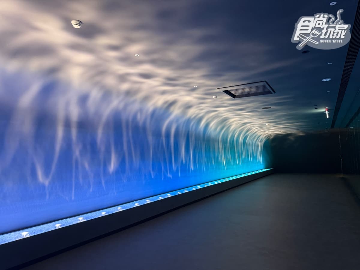 全台最美「台中海洋館」開幕直擊！全館８大展區開箱，票價、參觀資訊一次看