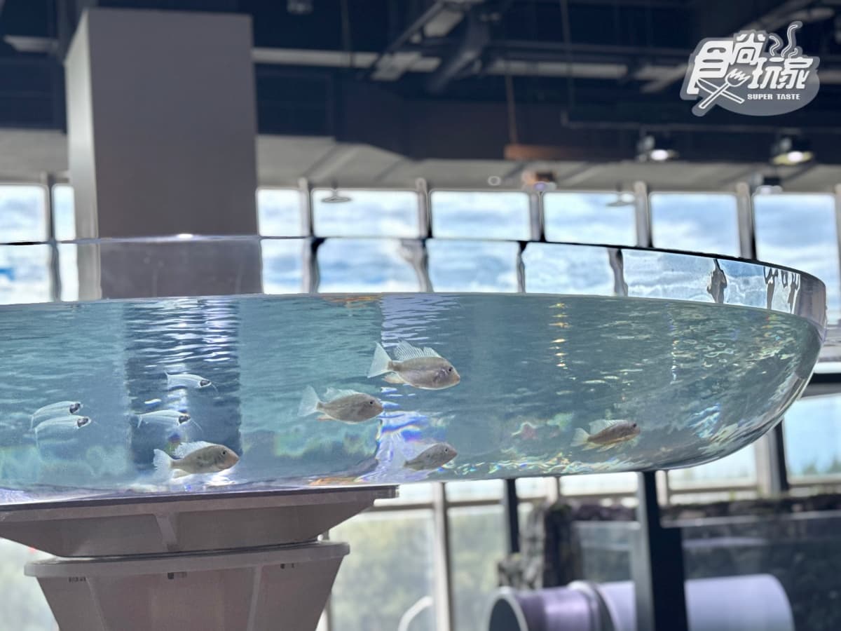 全台最美「台中海洋館」開幕直擊！全館８大展區開箱，票價、參觀資訊一次看