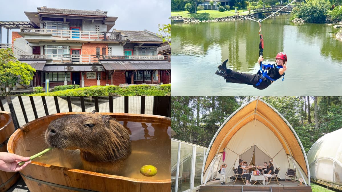 台灣「深度旅遊」住宿５選！溜滑索、餵水豚一站式玩透透，票選最愛抽住宿券