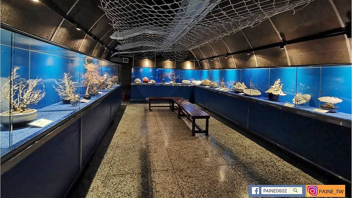 館內還展示多種稀有珍貴的珊瑚與海洋生物化石，讓人大開眼界。（圖片來源：小不點看世界）