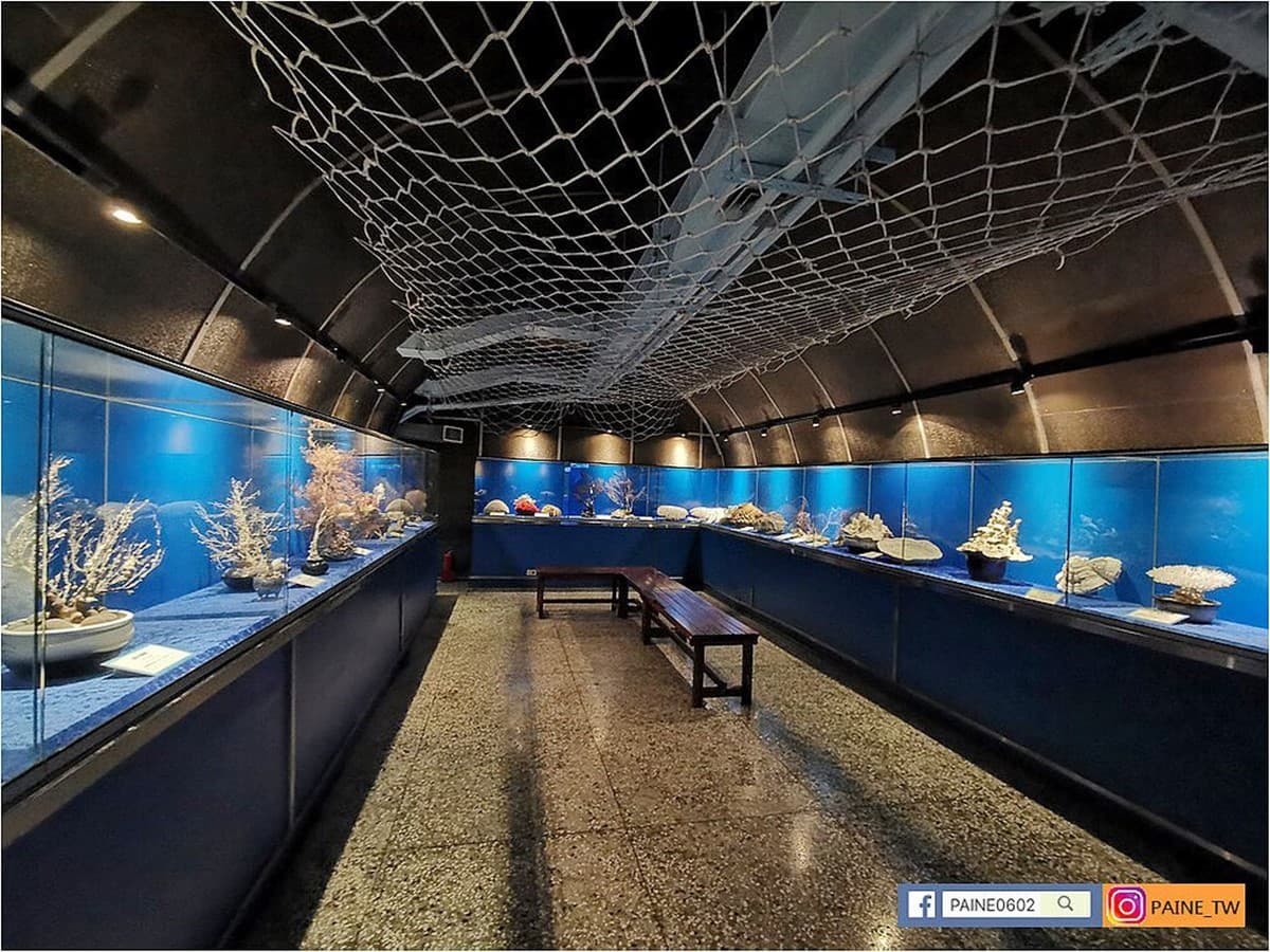 高雄30年「隱藏版水族館」將歇業！展示500種珍稀生物，把握最後機會開逛