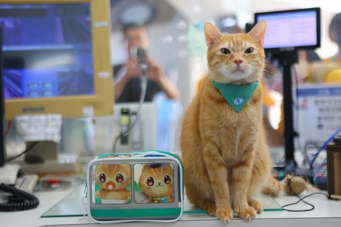 「100元生乳捲」回來了！亞尼克YTM插旗高捷，貓控必吃超Q「蜜柑生乳捲」