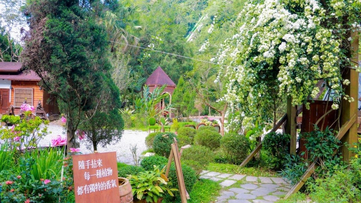 打造香草的夢幻花園，滿山遍野的森林如詩如畫的景色。（圖片來源：GO阿綸@旅人狂潮）