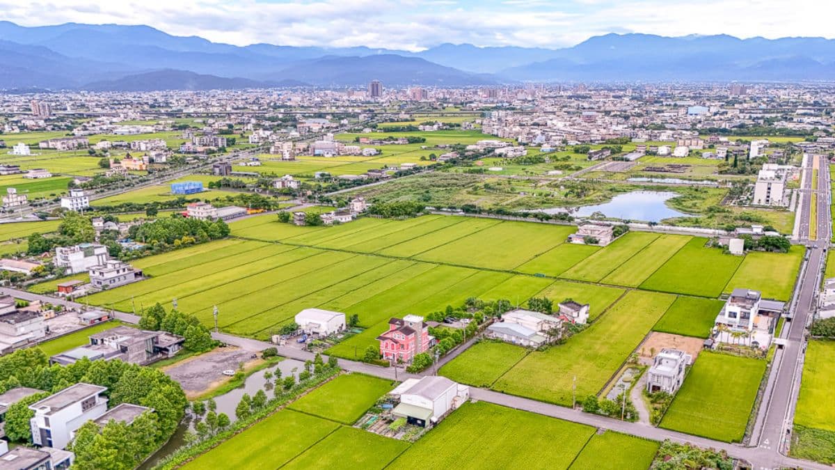 民宿旁邊都是稻田，整片稻浪黃澄澄美景。（圖片來源：卡夫卡愛旅行）