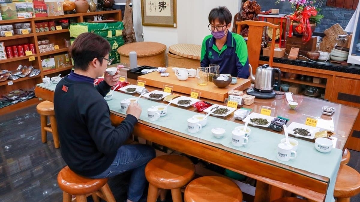 採茶季節，入住可以免費DIY體驗鬥茶跟揉茶活動。（圖片來源：GO阿綸@旅人狂潮）