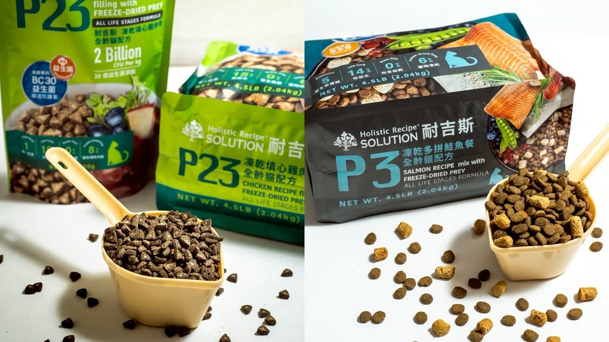 活力滿點的秘密！ 耐吉斯E系列與P系列，從健康腸道到強健體魄的完美呵護