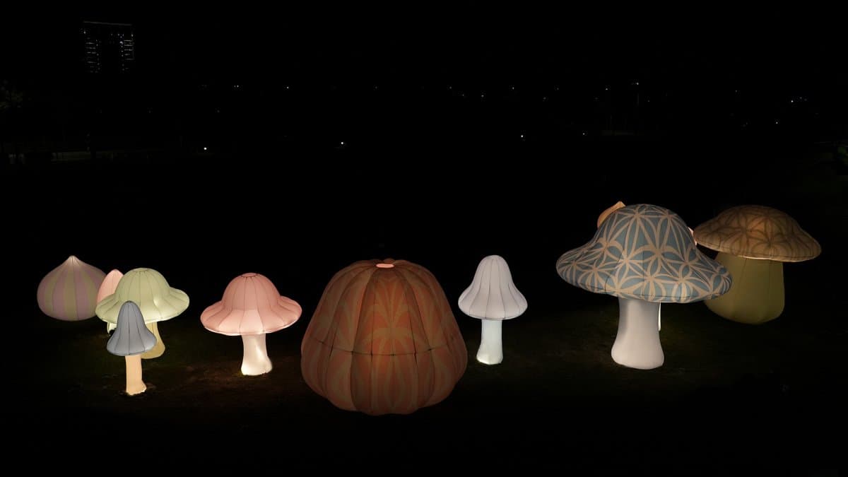 連續12小時嗨翻台北！2025白晝之夜「這天」圓山登場，亮點裝置藝術搶先看