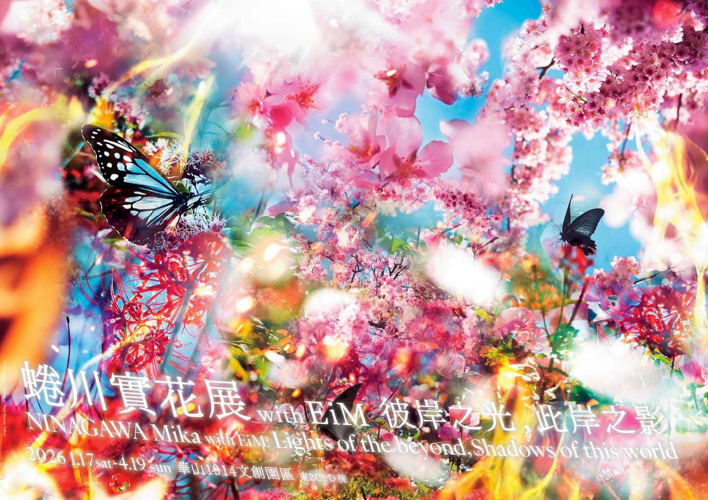 海外最大規模「蜷川實花展」在台灣!睽違10年登台,8大夢幻光影展區搶先看 海外最大規模「蜷川實花展」在台灣!睽違10年登台,8大夢幻光影展區搶先看