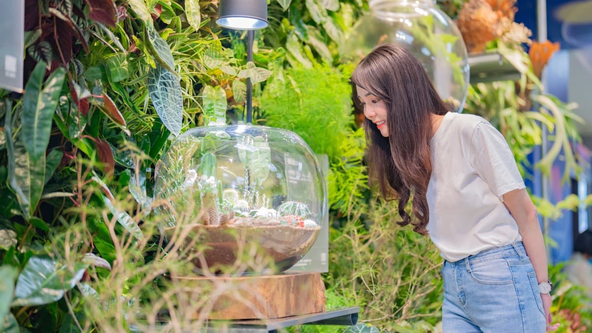 「大溪豆干節」結合植感生活！打造植感桃園品牌意象，拓展蔬食理念跨足植感生活領域