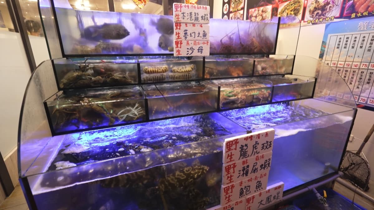一到門口就被現撈海鮮包圍，選擇多到眼花。