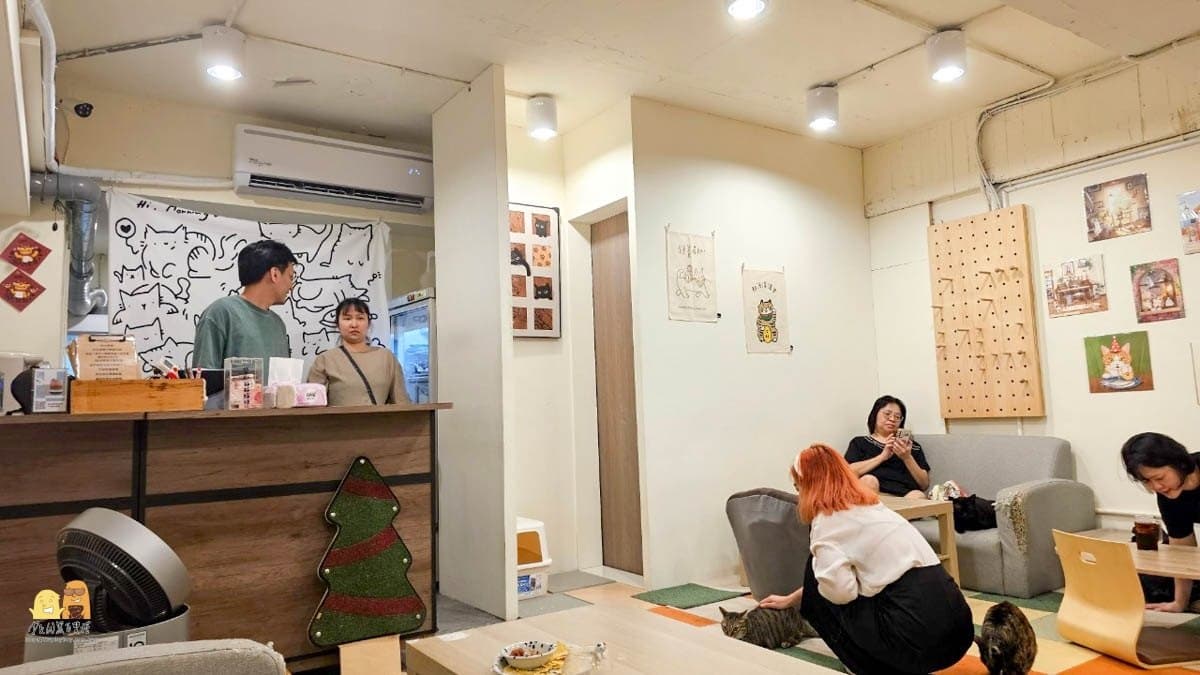 店內常駐20幾隻待收養的貓咪。（圖片來源：D&W黑白雙搭）