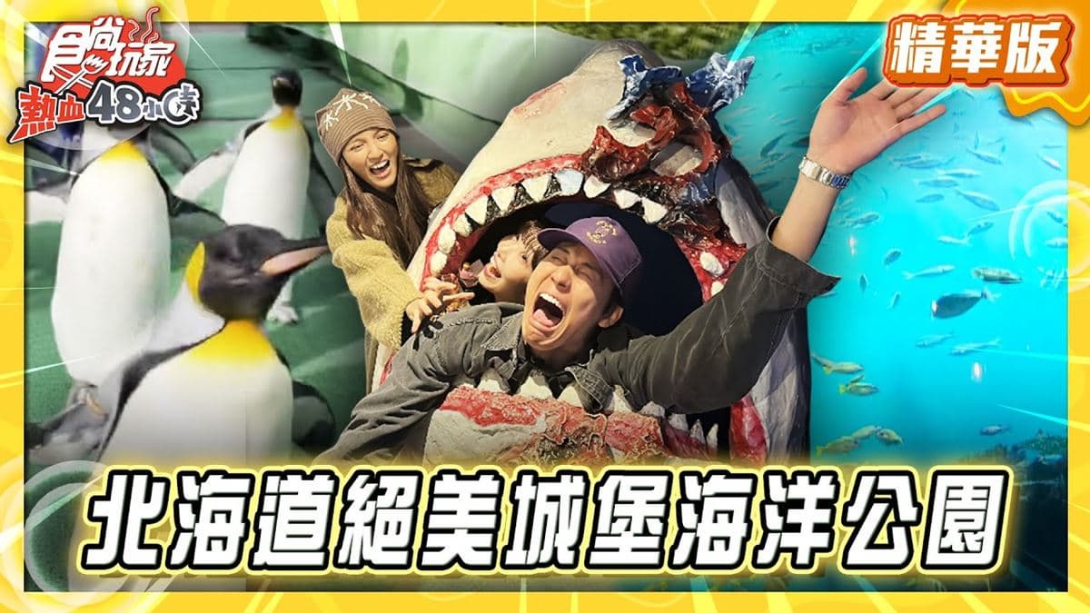 北海道必去「絕美城堡海洋公園」！《食尚玩家》推薦「登別尼克斯海洋公園」