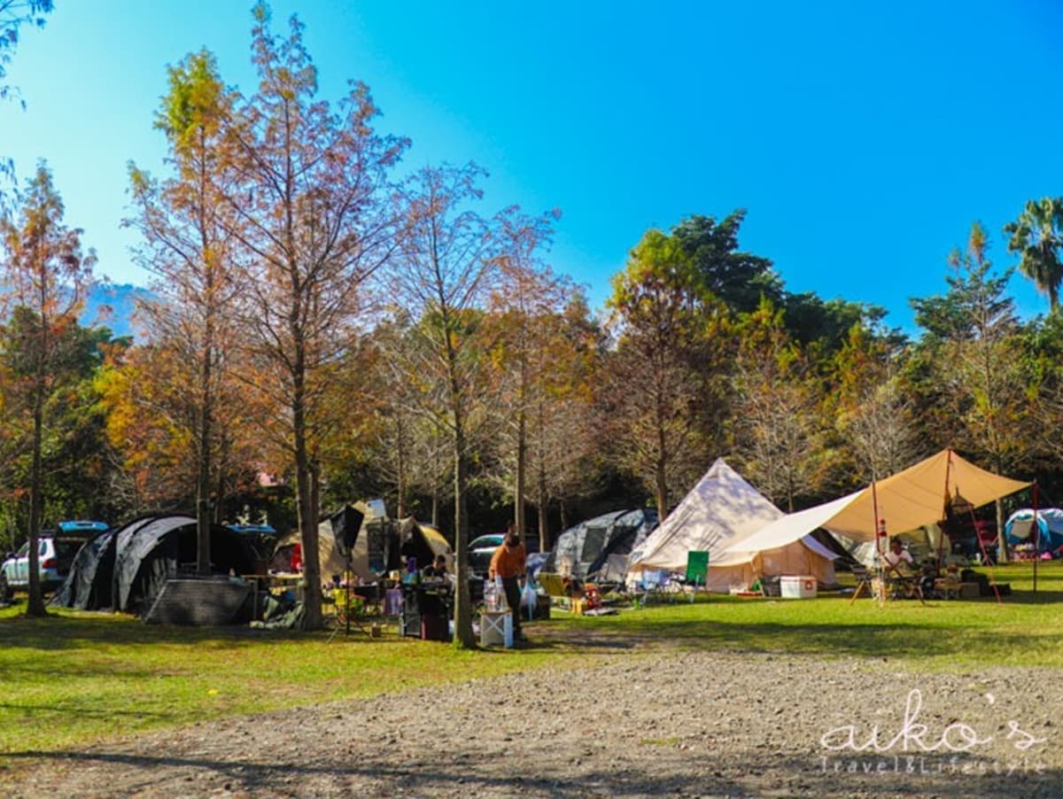 秋冬限定！全台８大絕美落羽松露營秘境，紅葉、星空、溫泉一次滿足