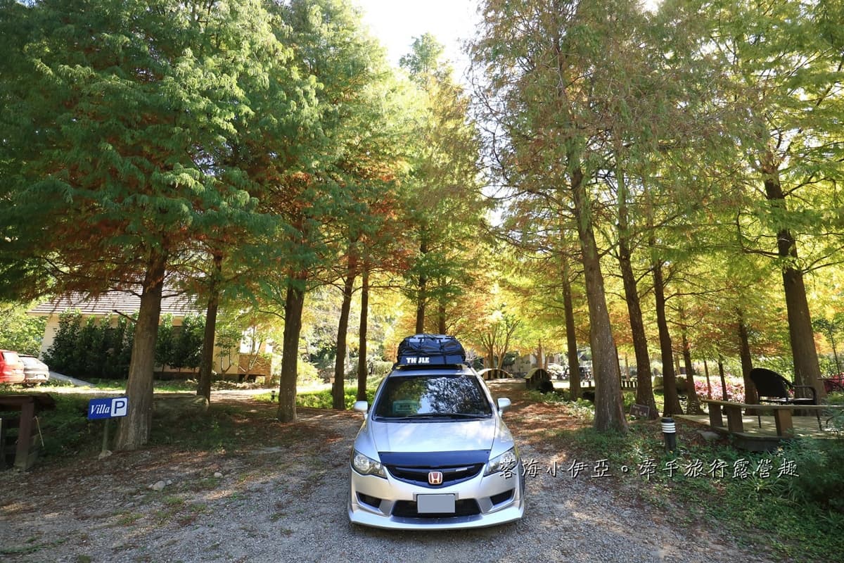 秋冬限定！全台８大絕美落羽松露營秘境，紅葉、星空、溫泉一次滿足