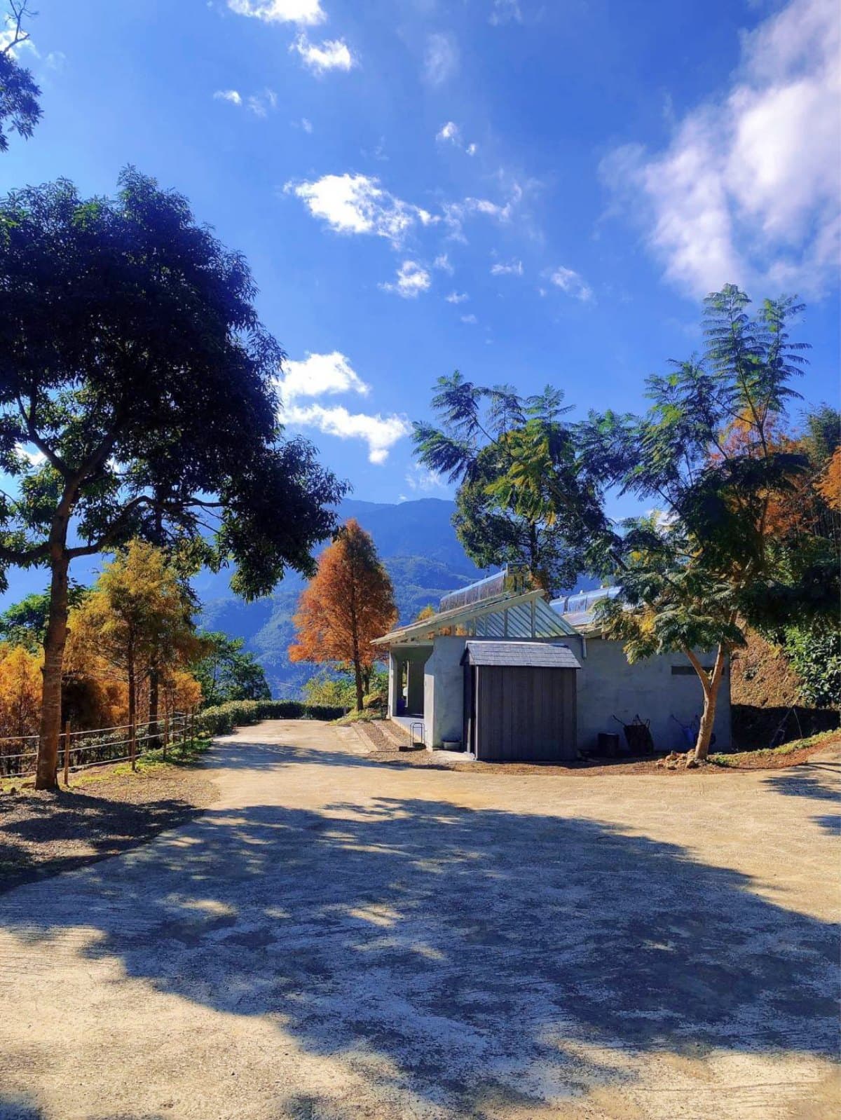 秋冬限定！全台８大絕美落羽松露營秘境，紅葉、星空、溫泉一次滿足