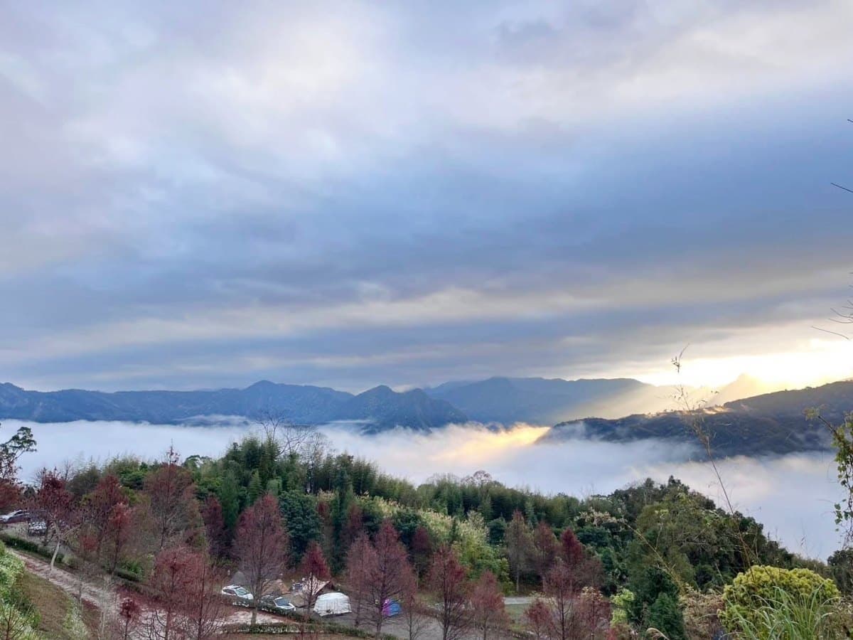 秋冬限定！全台８大絕美落羽松露營秘境，紅葉、星空、溫泉一次滿足