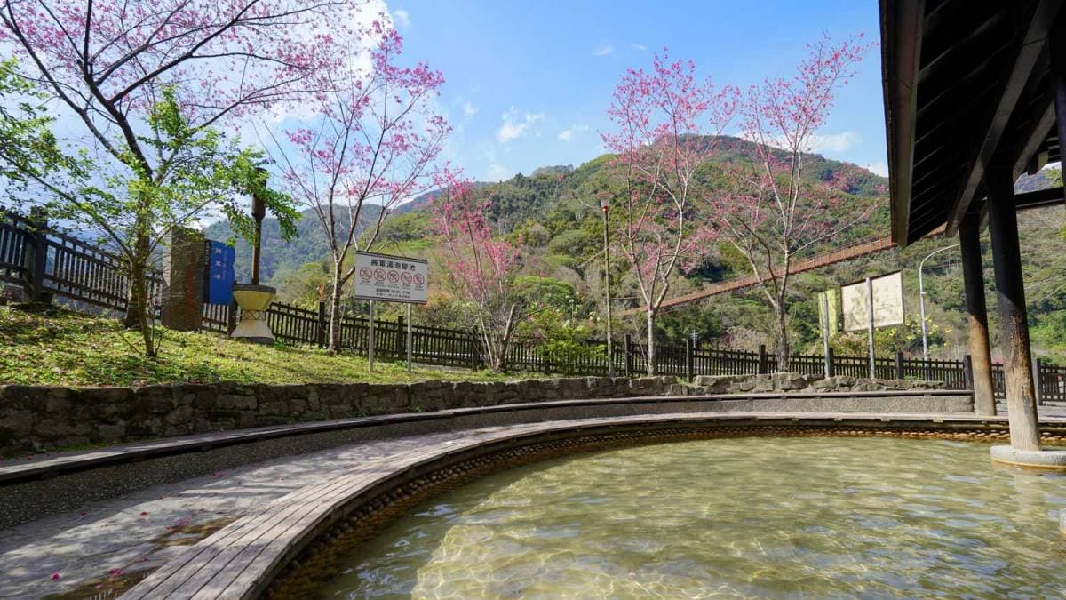 若逢櫻花季節，還能邊泡腳邊賞櫻。（圖片來源：猴子東遊記）