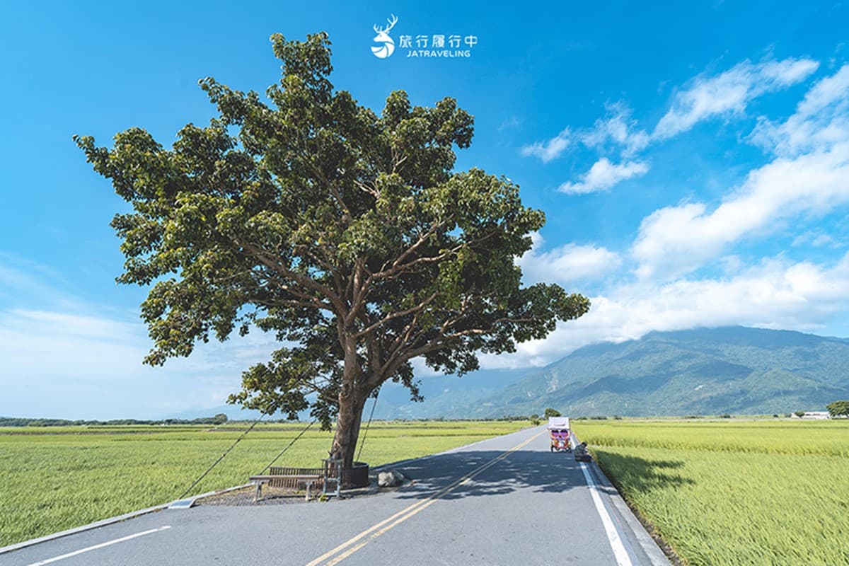 年度最大流星雨將登場！「藍皮解憂號ｘ觀星巴士」行程開搶，山海美景一次收