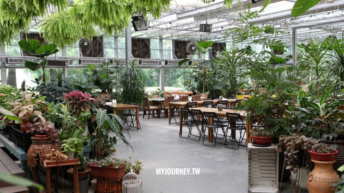 玻璃屋餐廳採挑高設計與透明落地窗，座位間距寬敞。（圖片提供：可大王愛旅行）