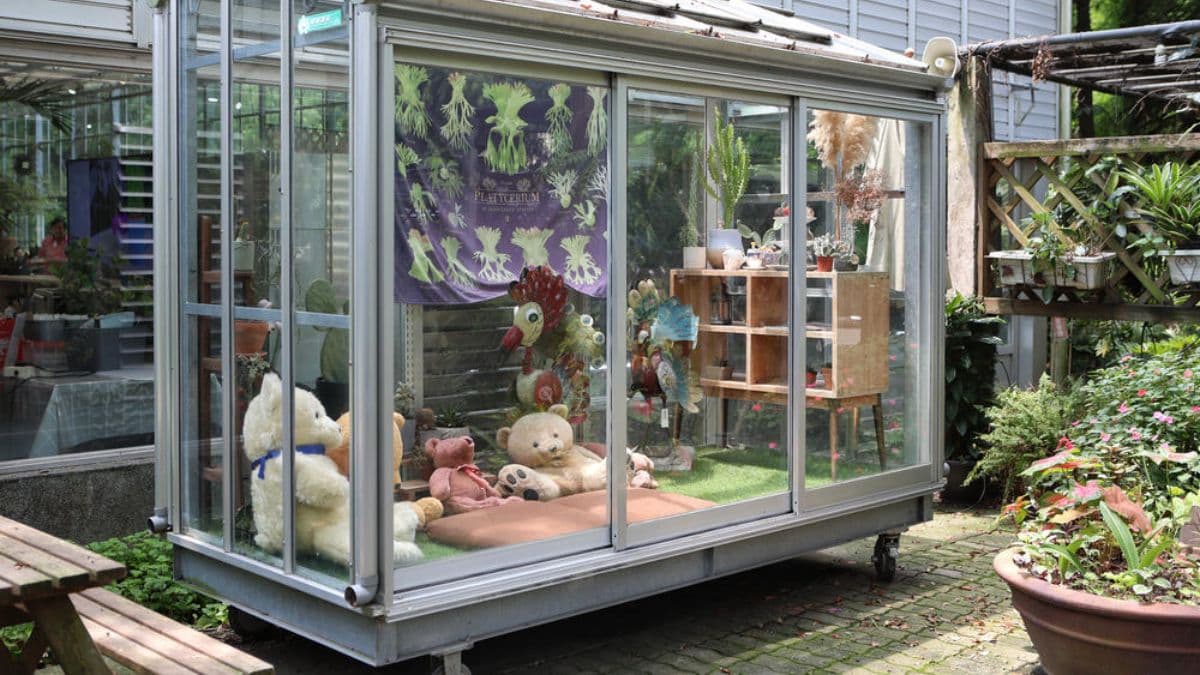 可愛的熊熊玻璃屋成為遊客必打卡的地標。（圖片提供：可大王愛旅行）
