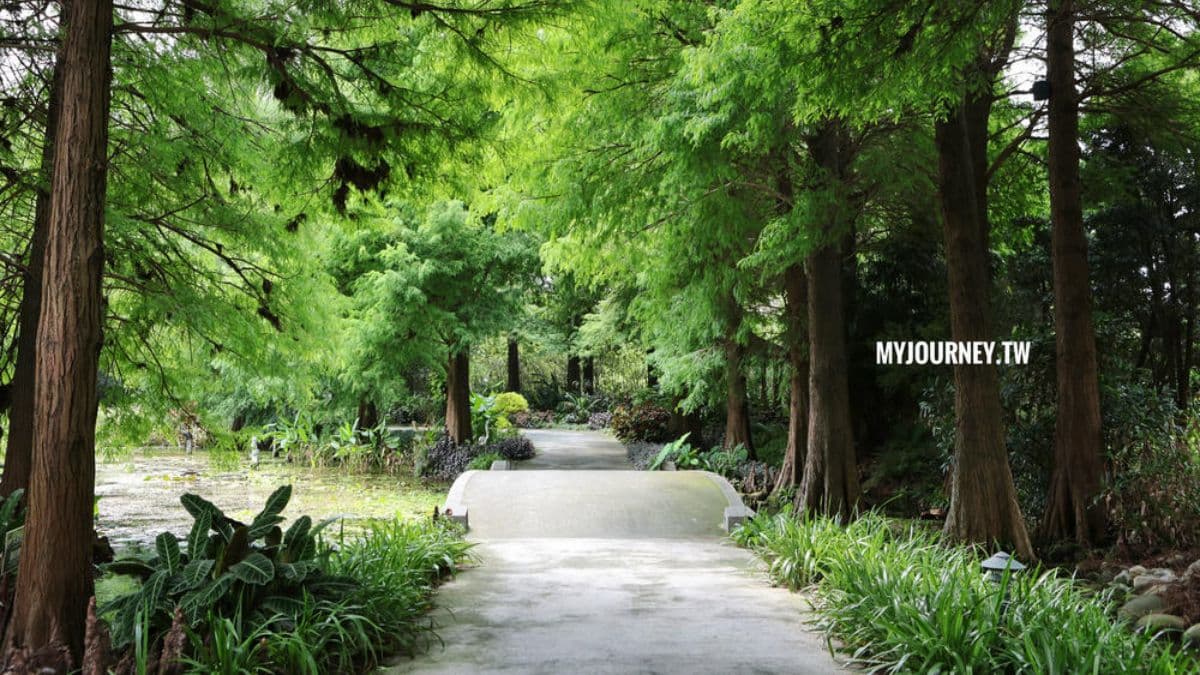 滿滿綠意的菁芳園，整個園區都是你的攝影棚。（圖片提供：可大王愛旅行）