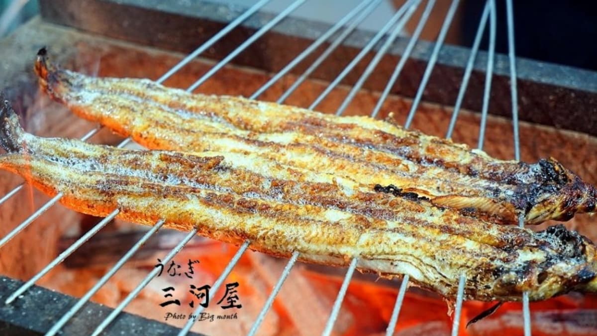 三河屋每日現殺新鮮活鰻，再採用備長炭來烤鰻。（圖片來源：大口老師的走跳學堂）