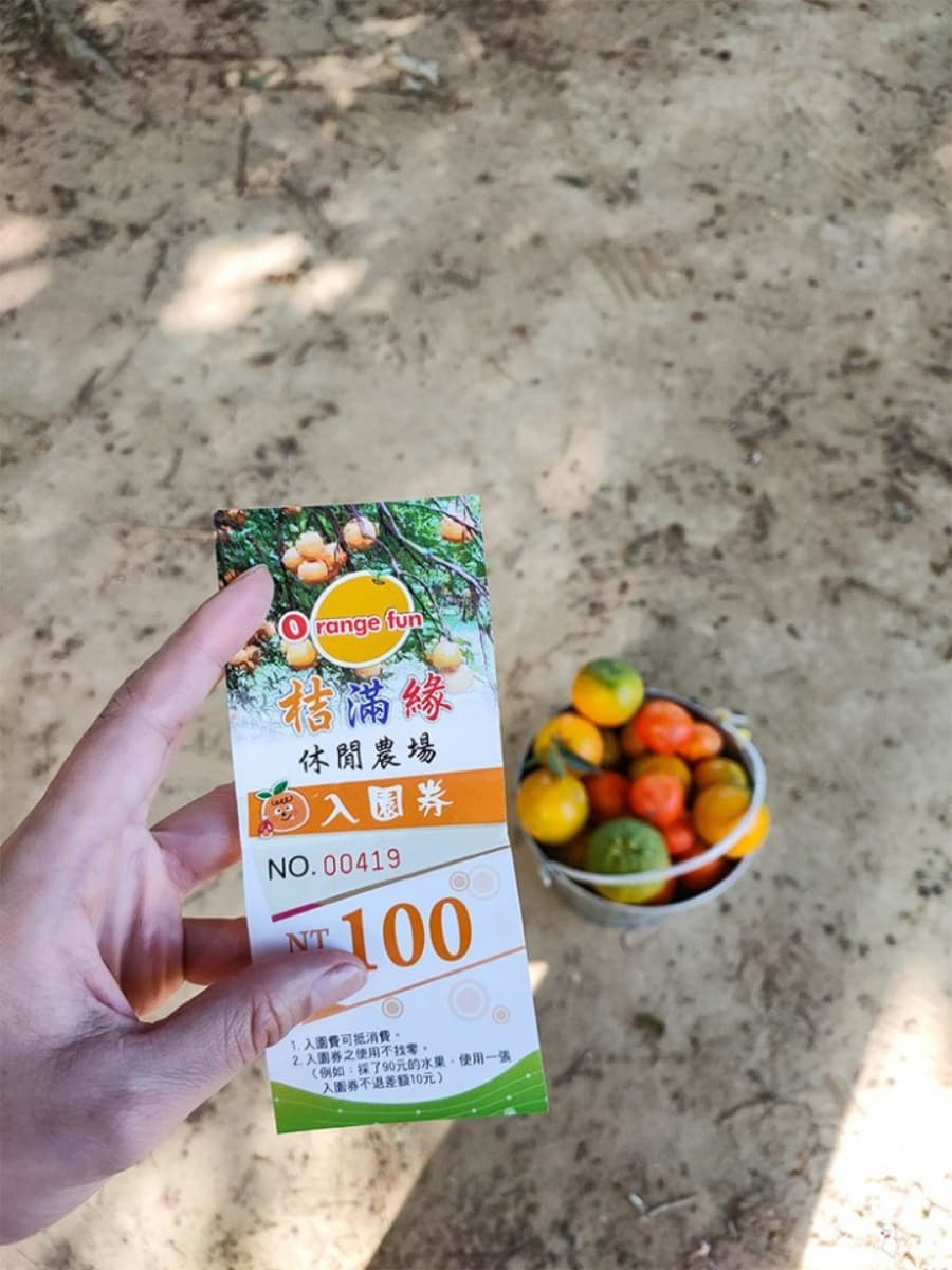 100元橘子吃到飽!美拍「台版濟州島」柑橘森林,入園方式、必吃品種看這篇 100元橘子吃到飽!美拍「台版濟州島」柑橘森林,入園方式、必吃品種看這篇