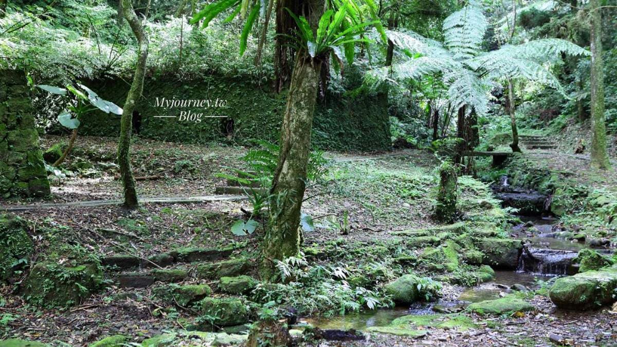 夏天若想避暑，很適合來這裡吸收芬多精。（圖片來源：可大王愛旅行）