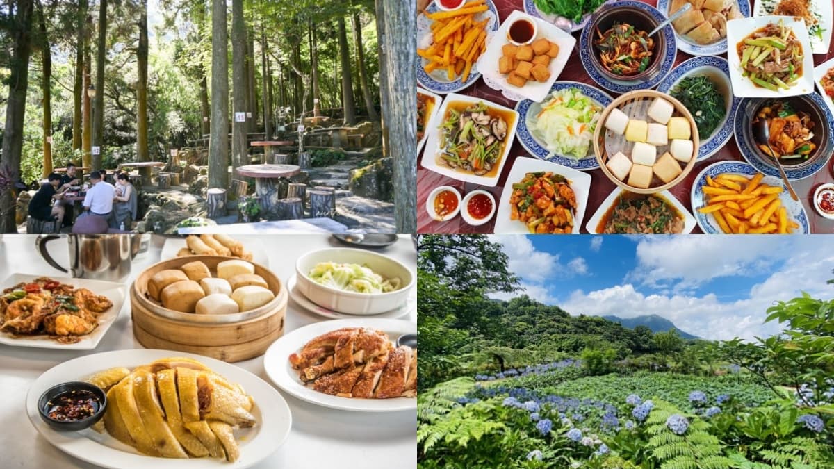 花海山林秘境吃合菜！陽明山必吃鮮嫩放山雞、新鮮山產，帶你解鎖３大鎮山名店