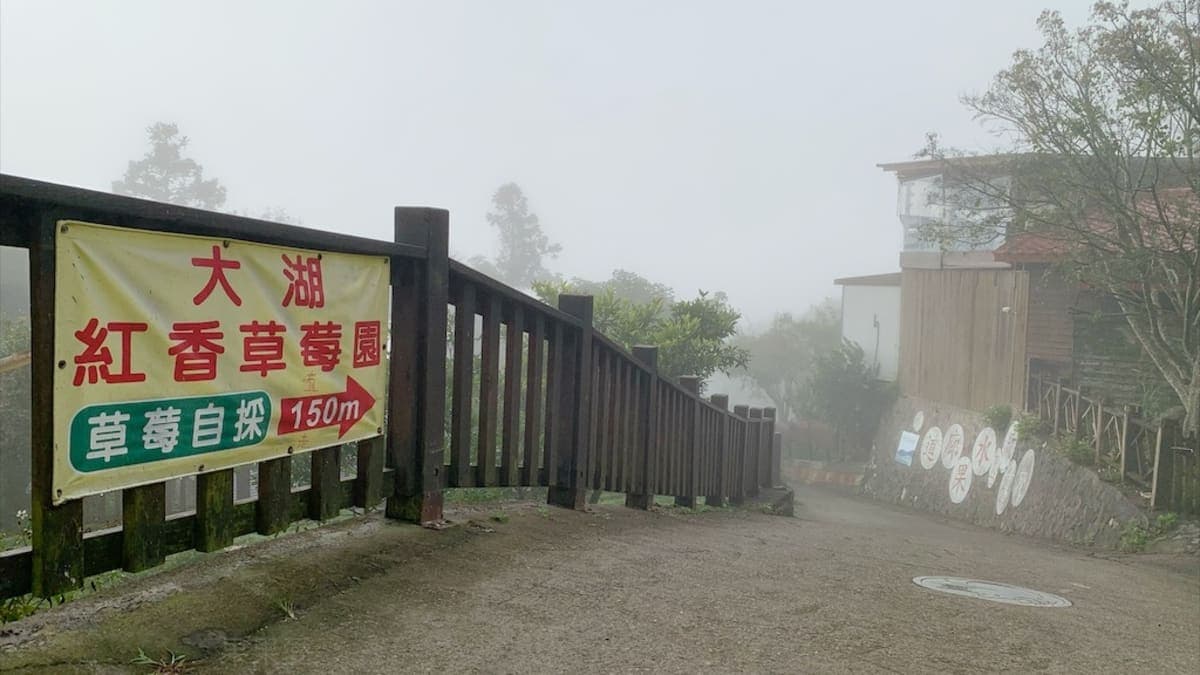大湖紅香草莓園位於苗栗三義和大湖交接處。（圖片來源：果果愛Fruitlove）