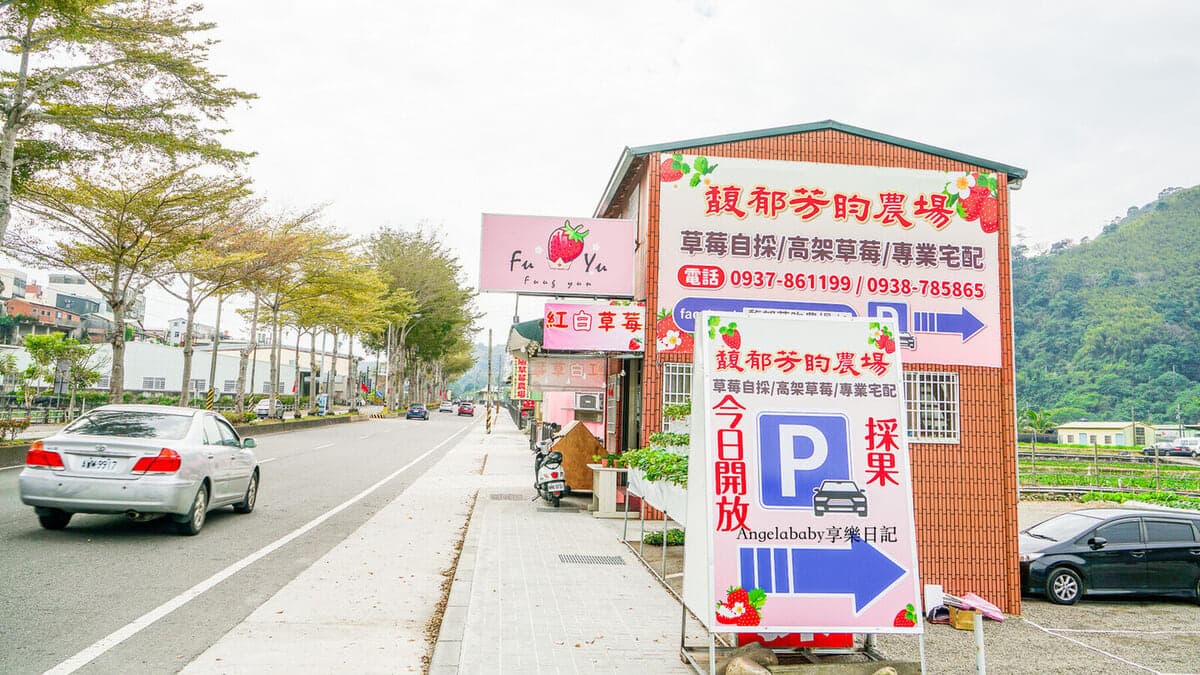 採家庭式小農自產自銷，分成種植在地上的草莓與高架草莓。（圖片：梅格享樂日記）