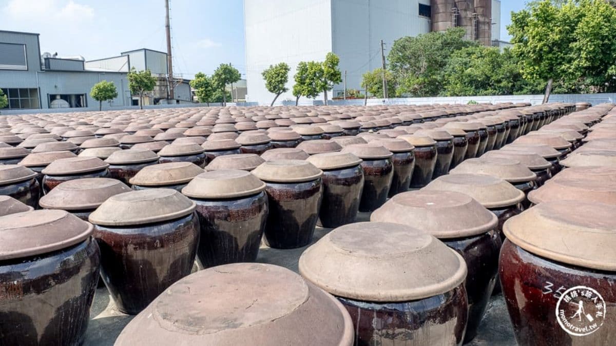 這裡有全台數量最多、占地廣大的「古早陶甕曝曬甕場」。（圖片來源：桃桃's旅人手札）