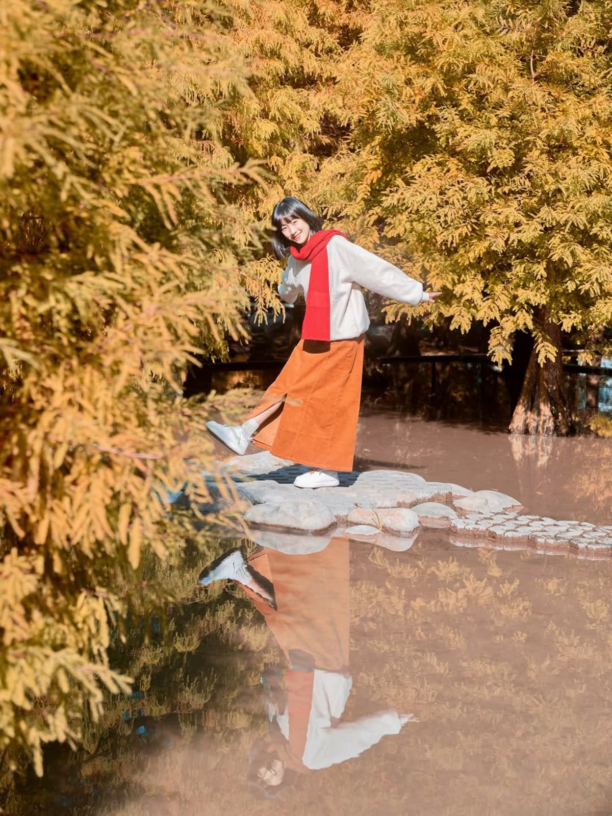 落羽松愛心水池超夢幻!台中后里「水上森林」轉紅了,加碼波斯菊花海、水上步道 落羽松愛心水池超夢幻!台中后里「水上森林」轉紅了,加碼波斯菊花海、水上步道