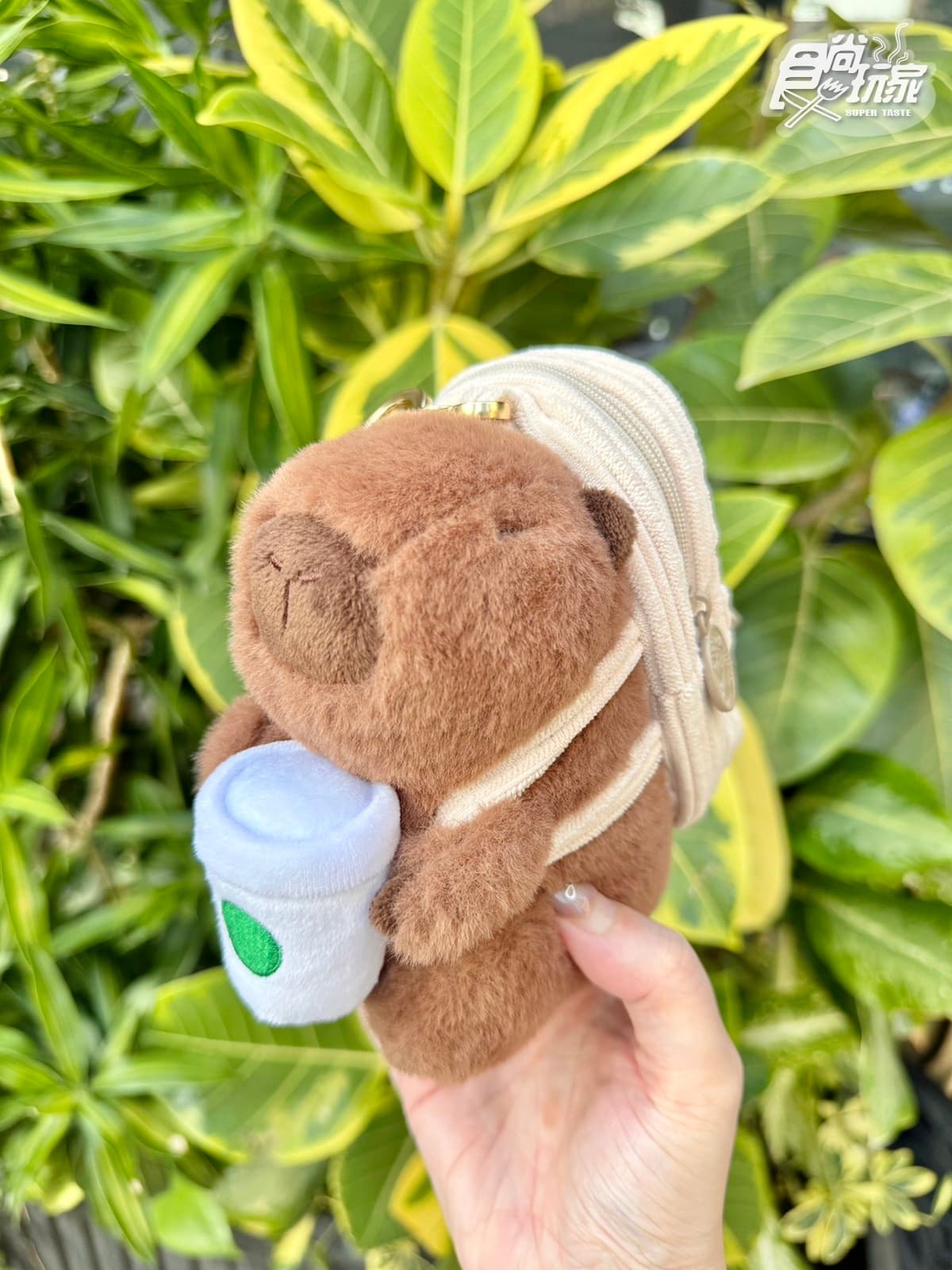 星巴克買一送一喝到月底！奶香烤舒芙蕾那堤、情人節周邊、秒殺款夾娃娃機