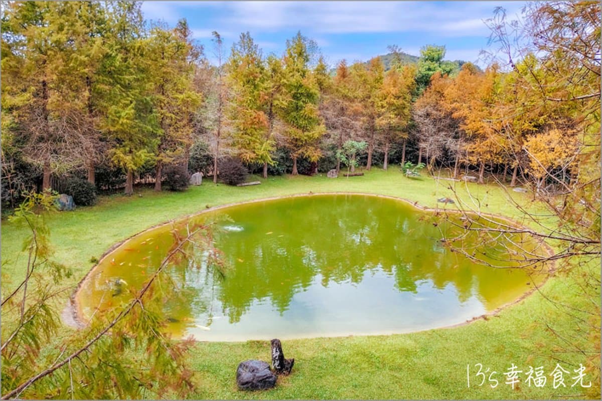 新竹關西秘境餐廳!玻璃屋賞落羽松、喝仙草雞湯,隱藏版愛心池倒影預約才能進 新竹關西秘境餐廳!玻璃屋賞落羽松、喝仙草雞湯,隱藏版愛心池倒影預約才能進