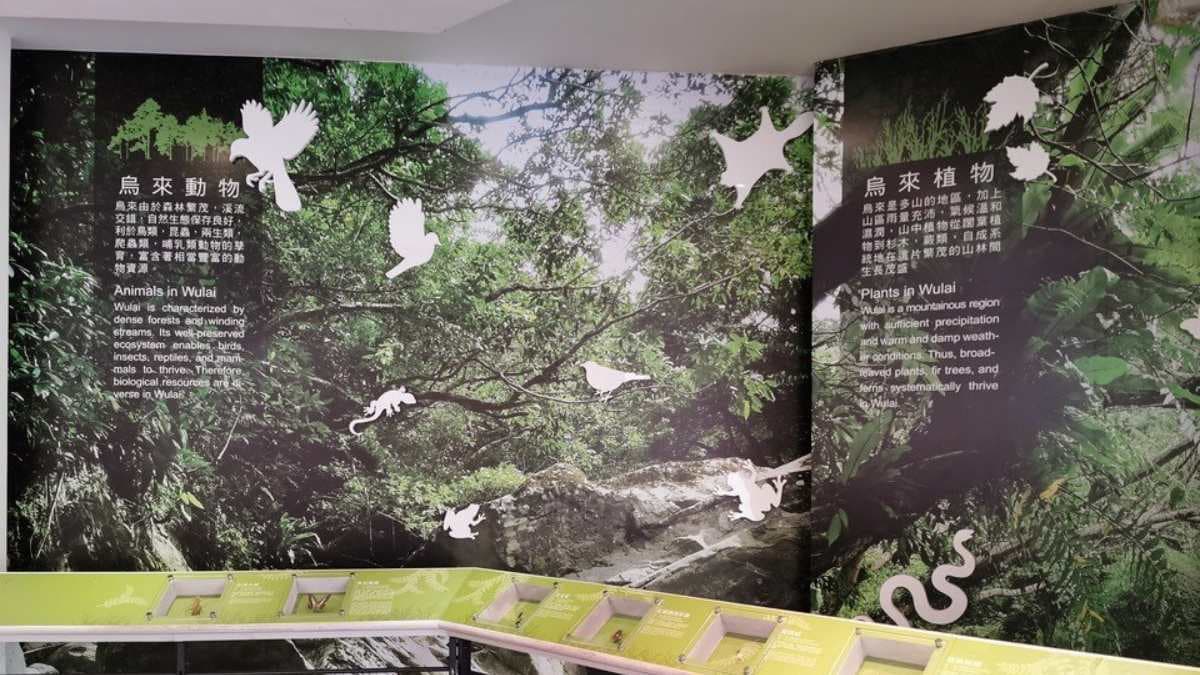 館內展覽先從烏來的自然生態開始介紹。（圖片來源：旅充小日子）