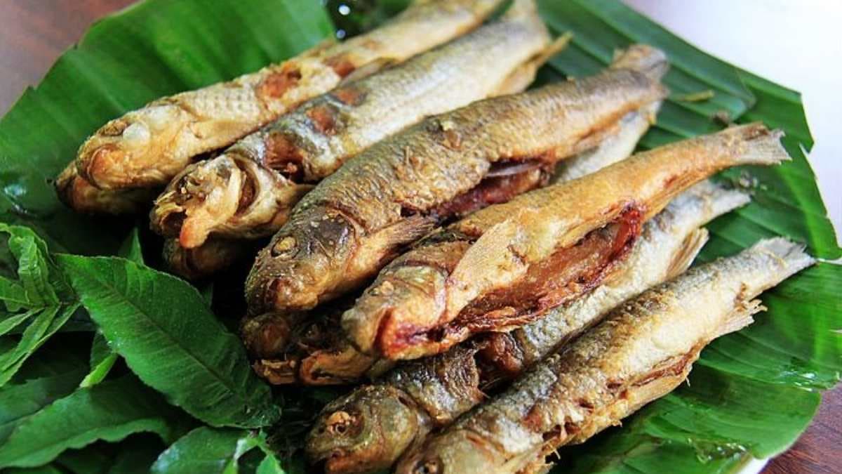 「炸鯝魚」俗稱苦花，是台灣山地溪流很重要的魚種。（圖片來源：旅人Carrie愛漫遊）