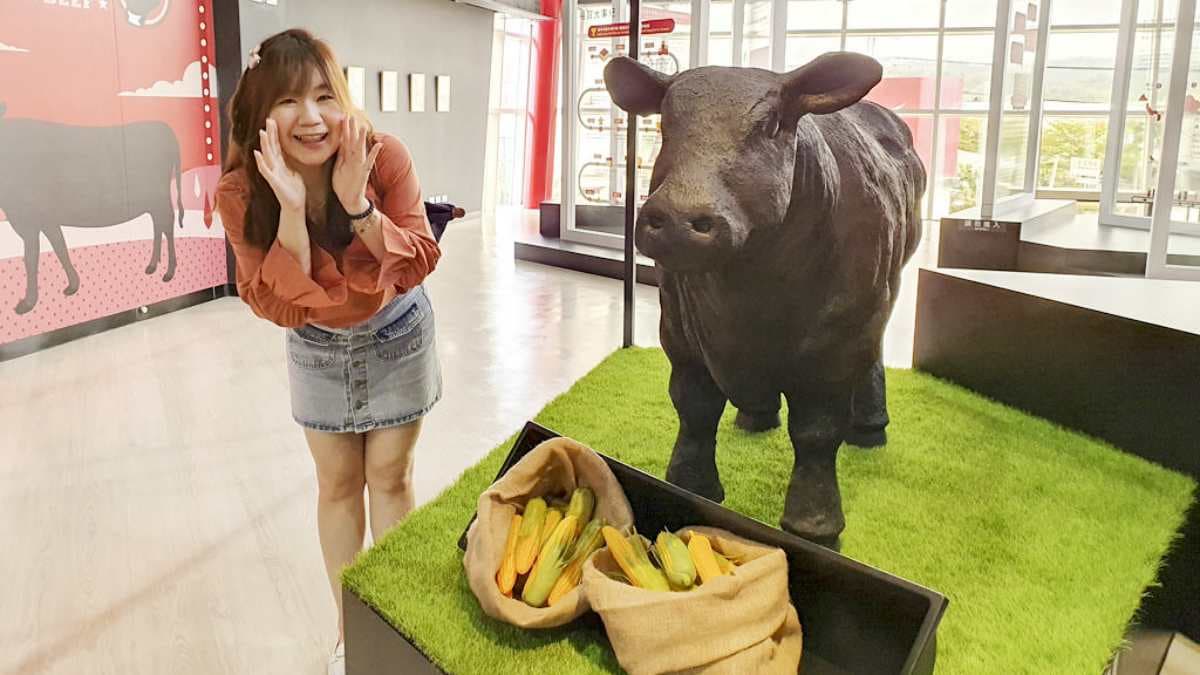 觀光工廠內也有關於牛隻、牛肉的相關展覽。（圖片來源：菓子の幸福週記）